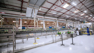 Ambev inaugura nova linha produtiva em Camaçari