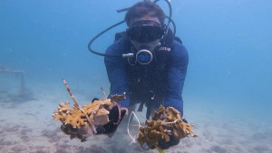 Projeto que utiliza o plástico para acelerar a recuperação de corais na Baía de Todos-os-Santos é destaque na França