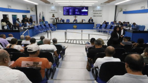 Câmara cria Comissão Permanente de Defesa dos Direitos da Pessoa Com Deficiência e Mobilidade Urbana