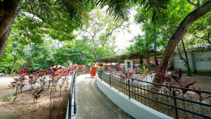 Inscrições para o COMAM são prorrogadas até 1º de agosto em Camaçari