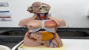 Treinamento na UPA da Gleba A reforça compromisso com atendimento de excelência e salva vidas