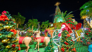 Camaçari dá início ao Natal da 'Fábrica dos Sonhos' com espetáculo de luzes e cultura