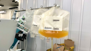 Hemoba promove campanha para ampliar doações de plaquetas